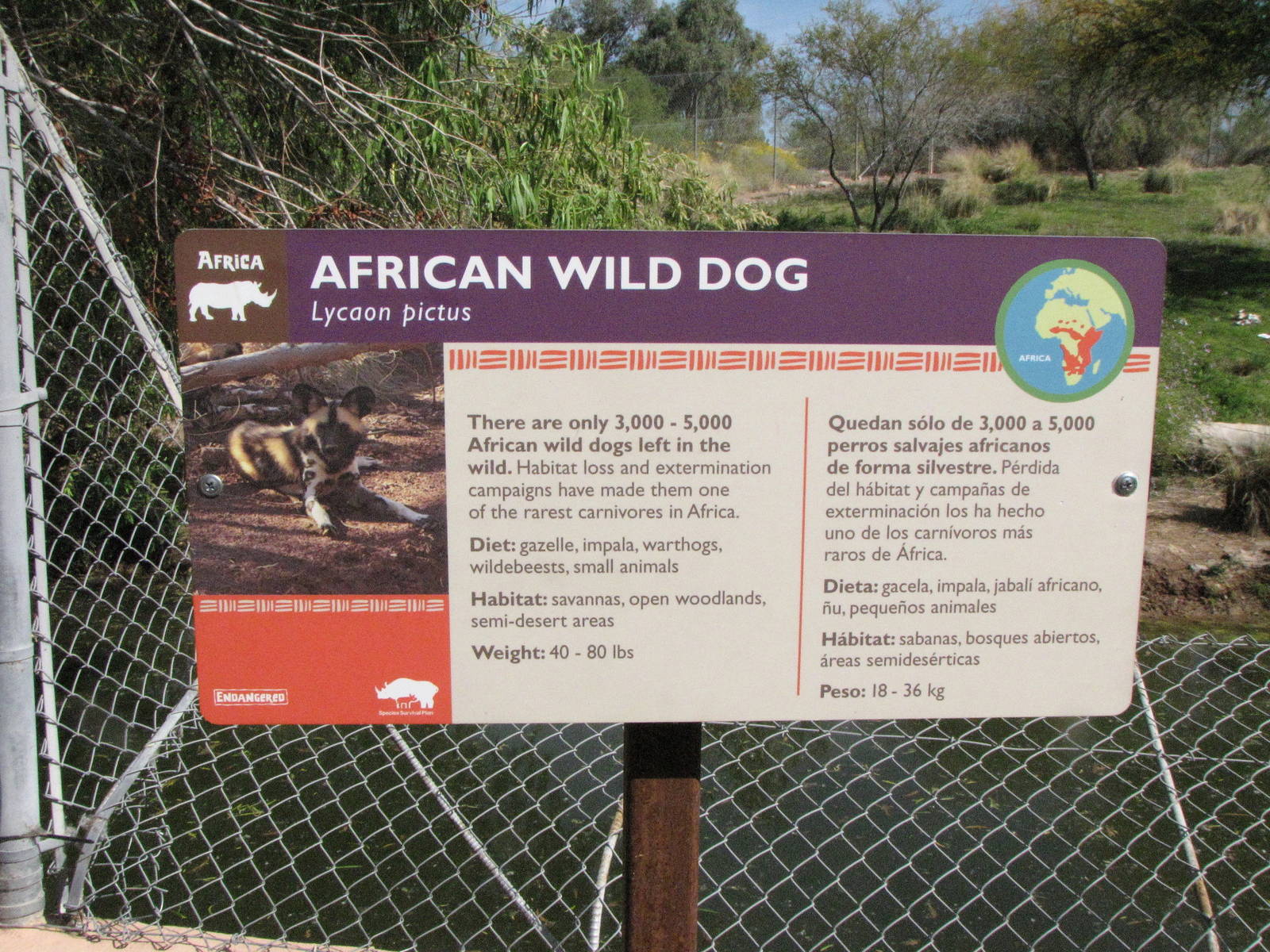 African Wild Dog Signage