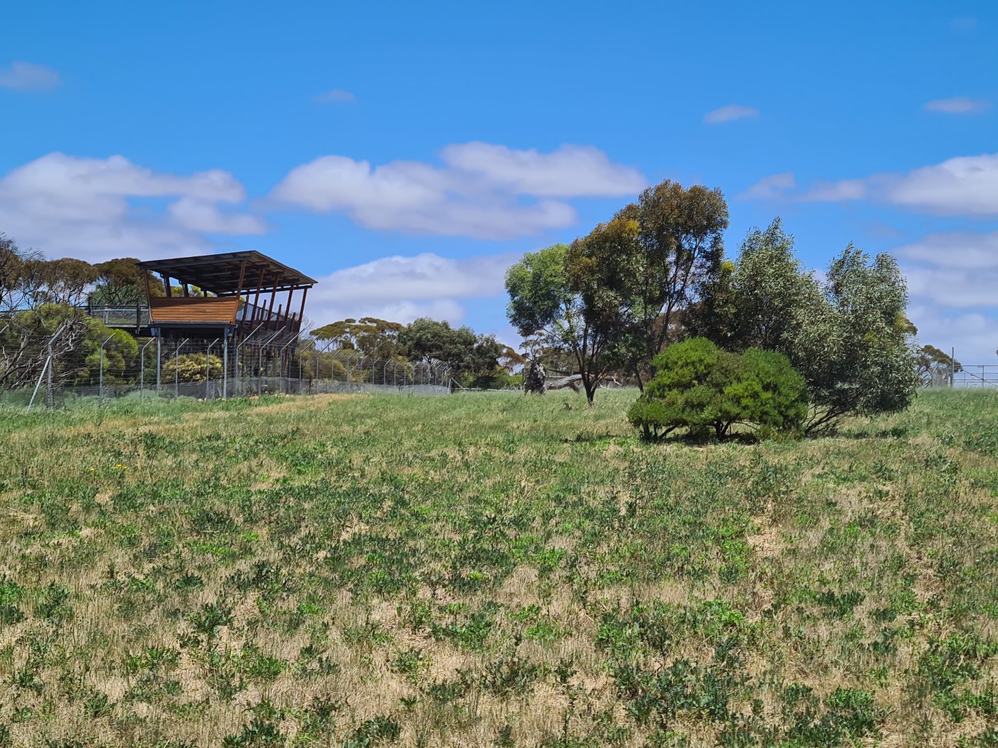 African Wild Dog / Spotted Hyena Exhibit