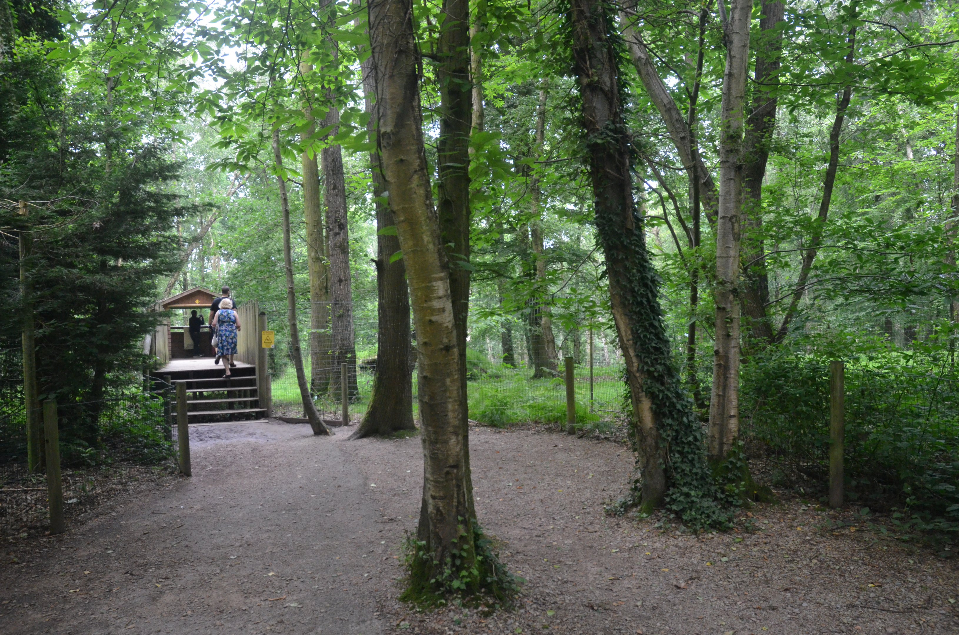 African Wild Dog Viewing Area at CERZA, 10/06/18