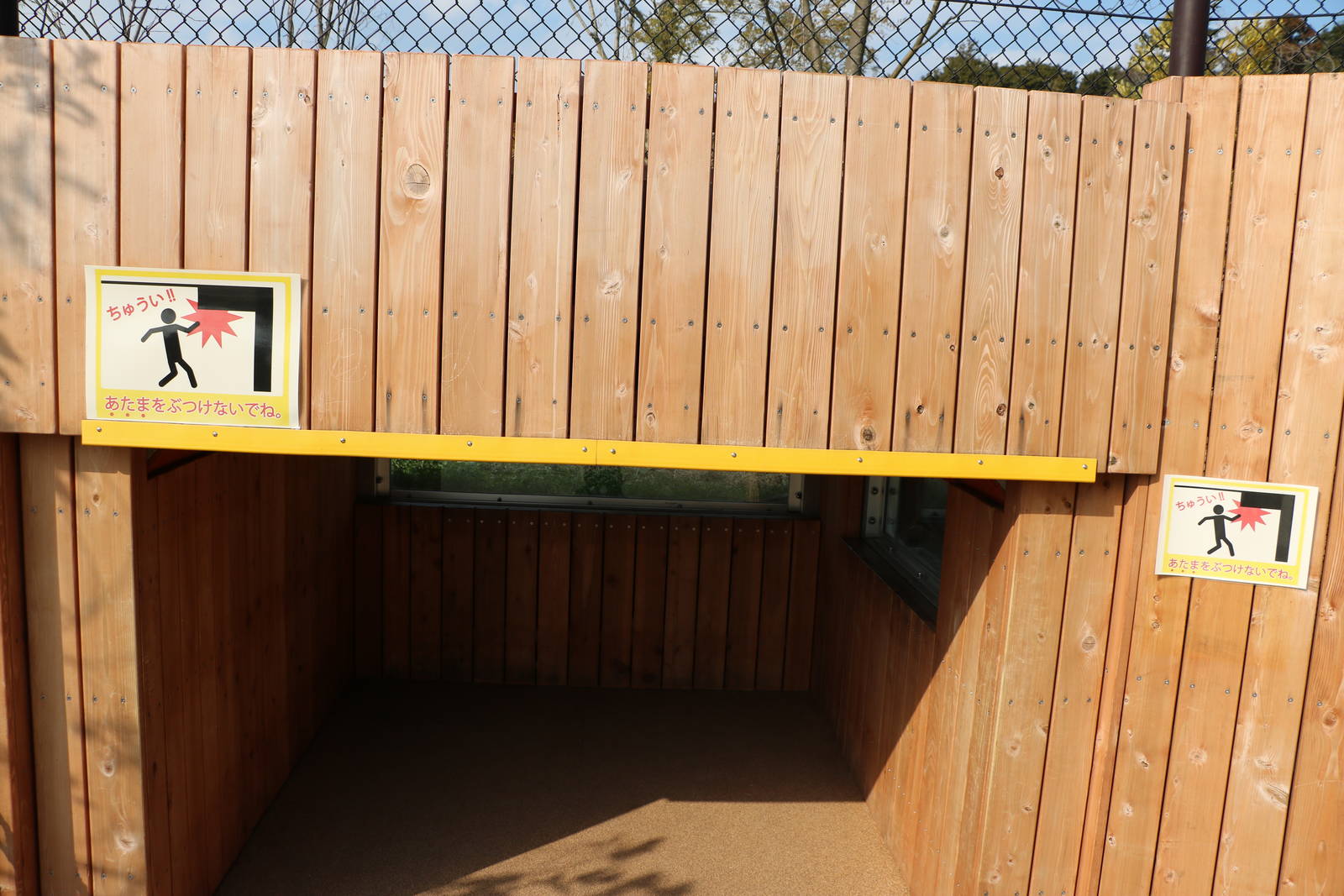 African wild dog viewing area, February 2016