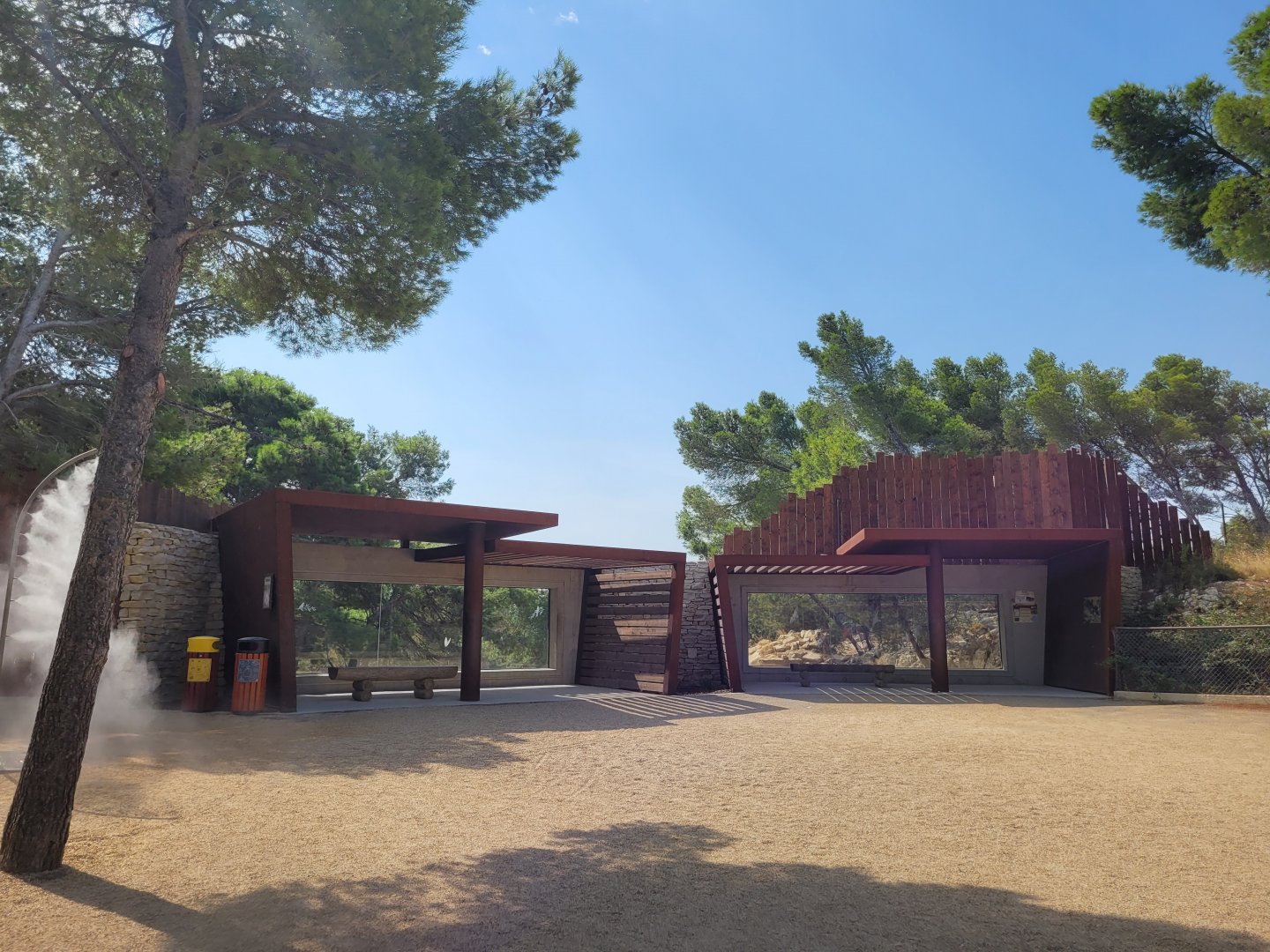 African wild dog viewing gallery -Réserve Africaine de Sigean (2022)
