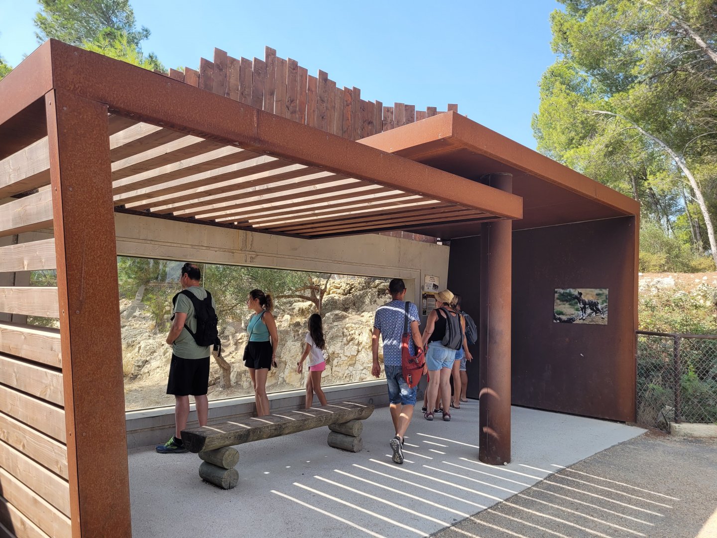 African wild dog viewing gallery -Réserve Africaine de Sigean (2022)