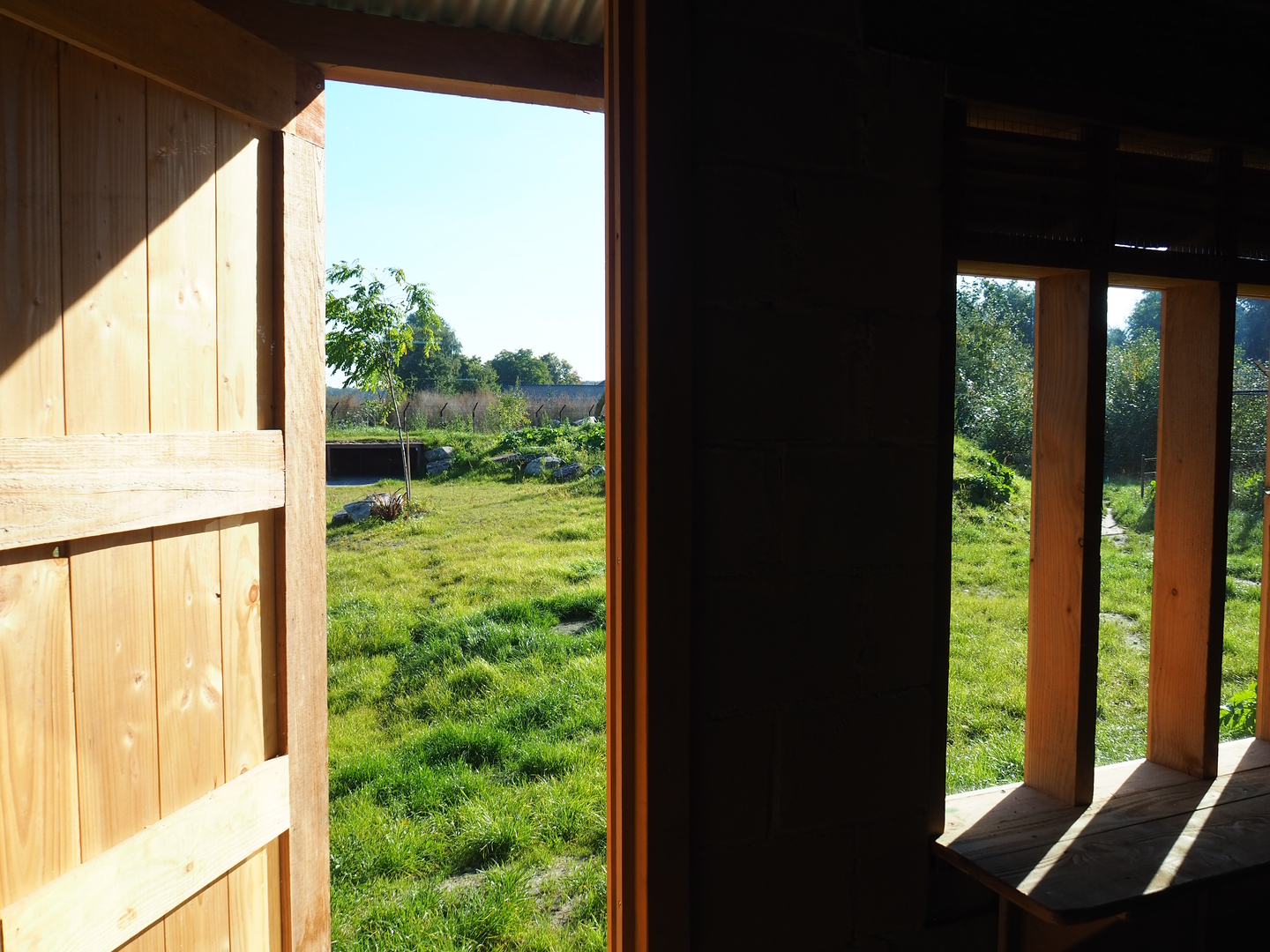 African wild dog viewing windows, 2022-10-09