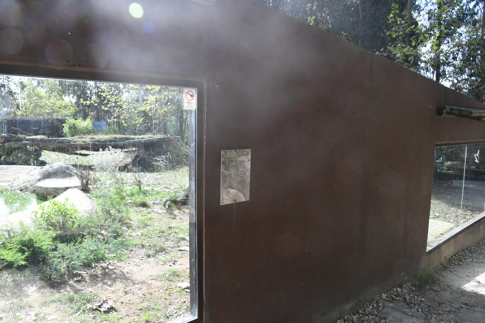 African Wild Dogs exhibit viewing windows