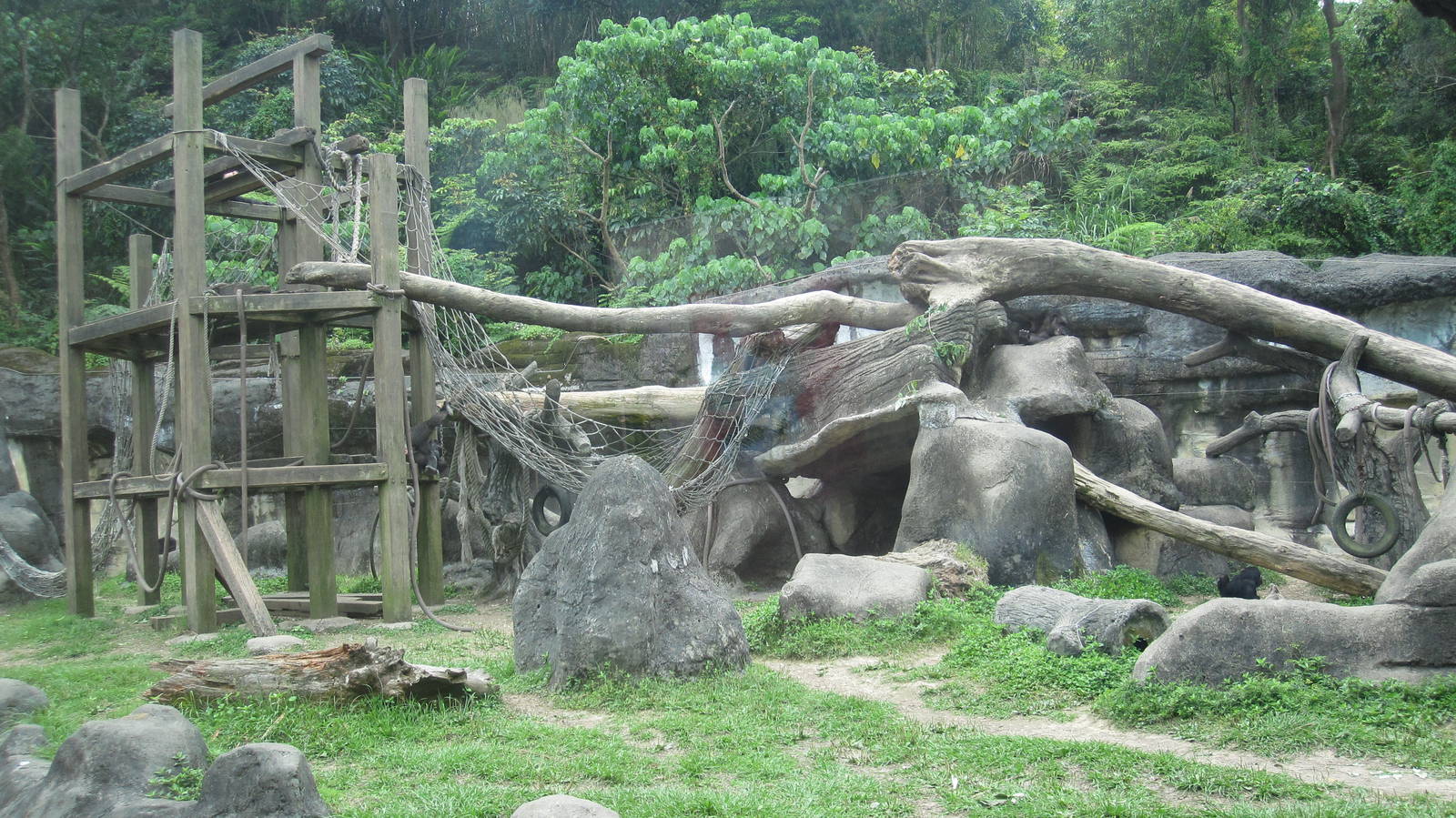 African zone - Chimpanzee exhibit