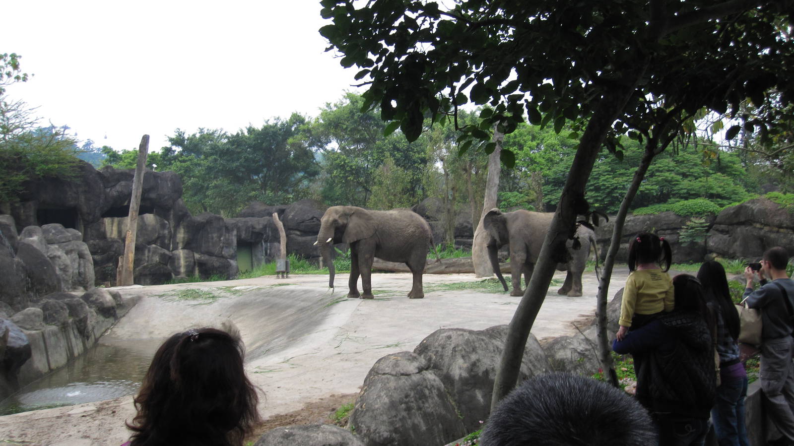 African zone - Elephant exhibit