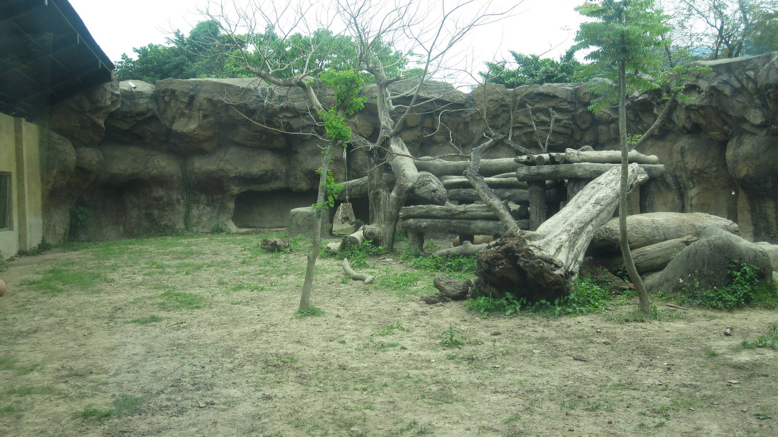 African zone - Lion exhibit