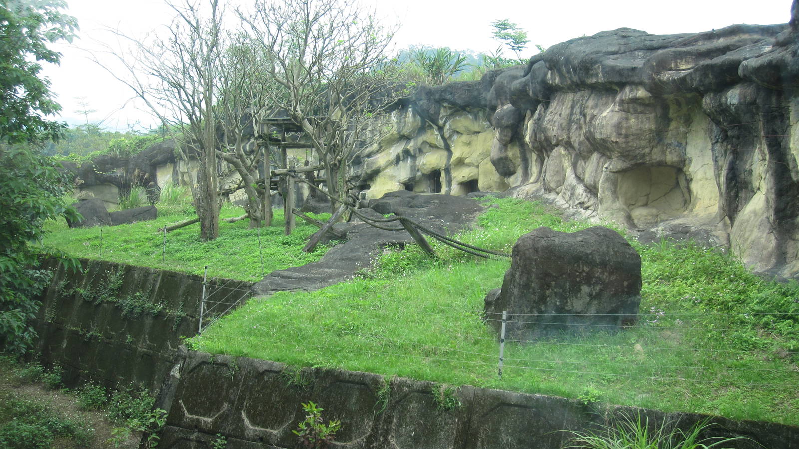 African zone - Mandrill exhibit
