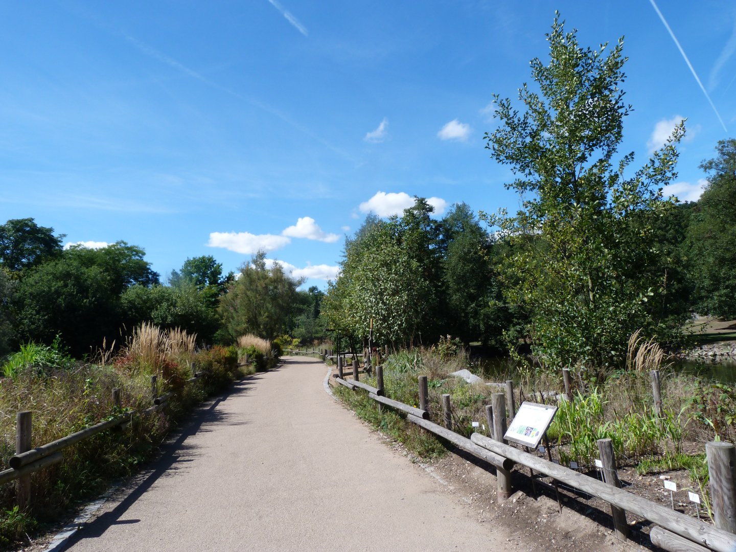 African zone view -Zoo Plzeň (2025)