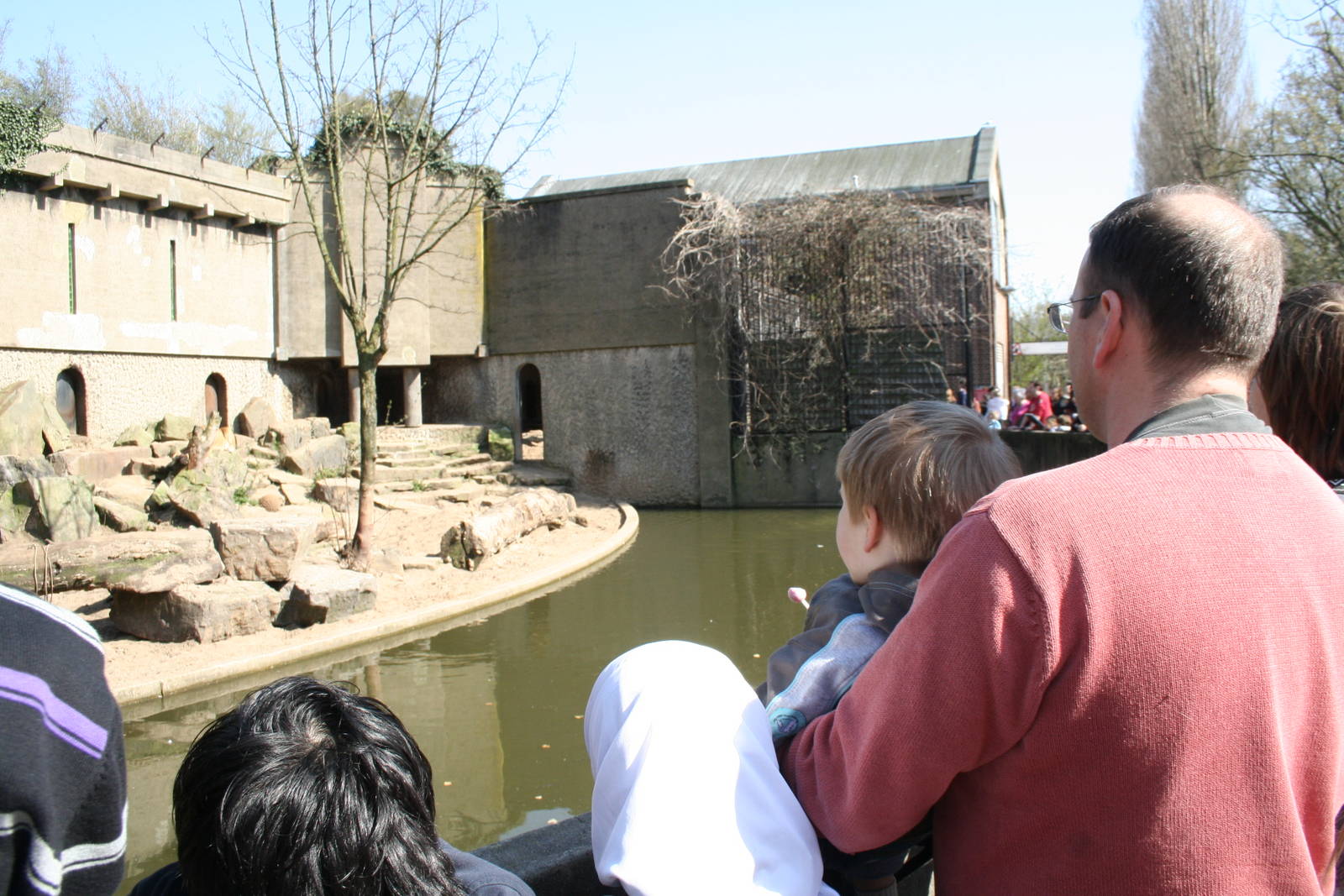 African_Lion_exhibit_1