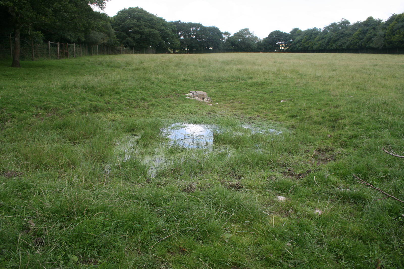 African_PLains_Watering_Hole