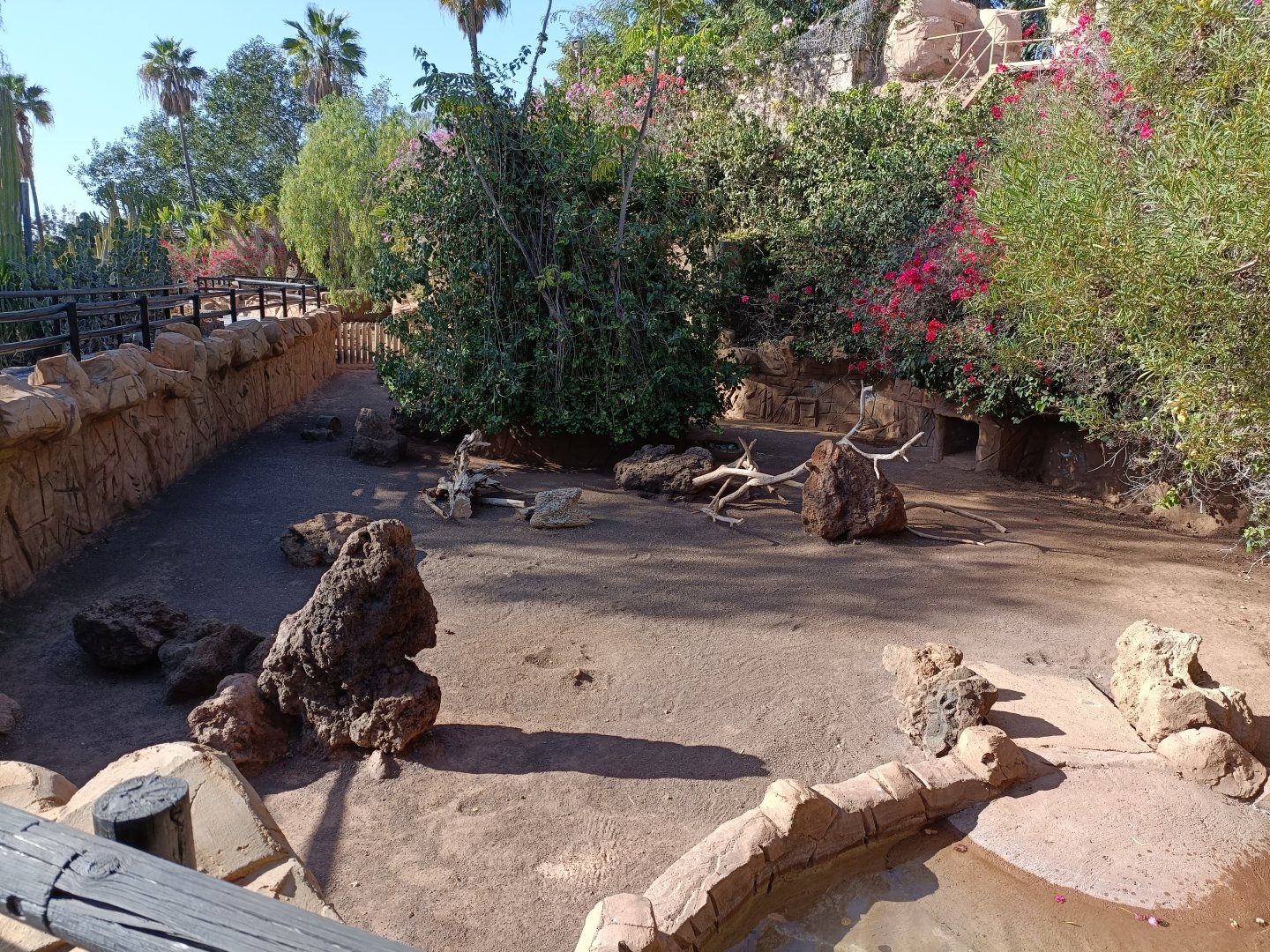Africane porcupine exhibit