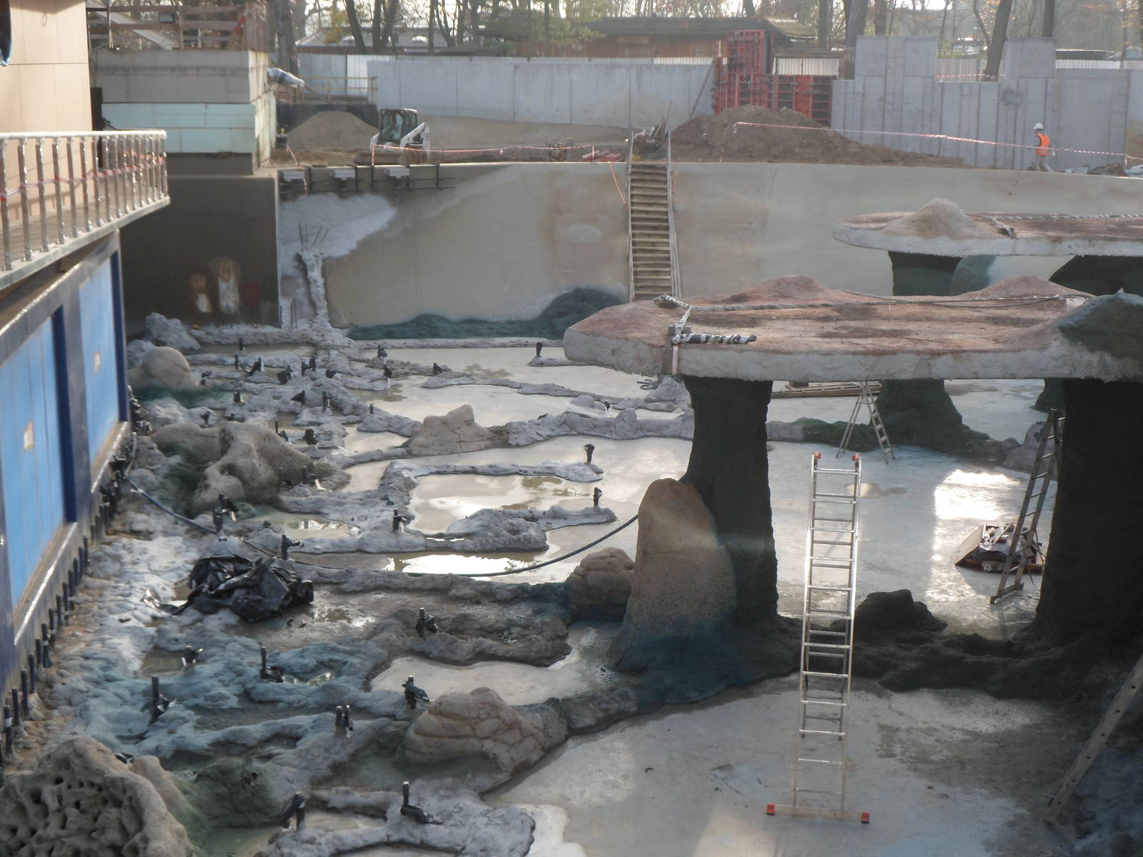 Africarium - african penguin's pool