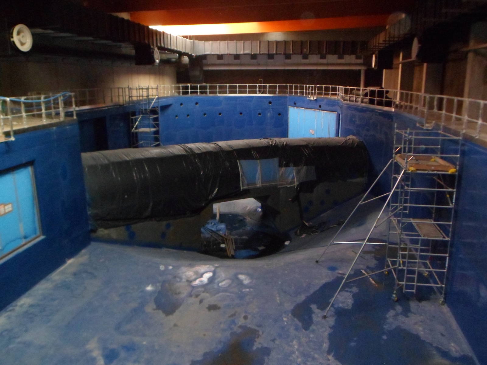 Africarium - skark's tank