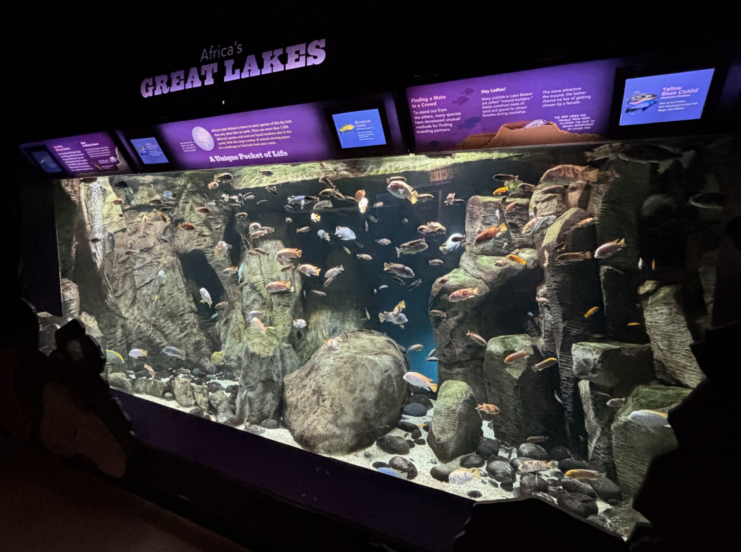Africa’s Great Lakes Exhibit