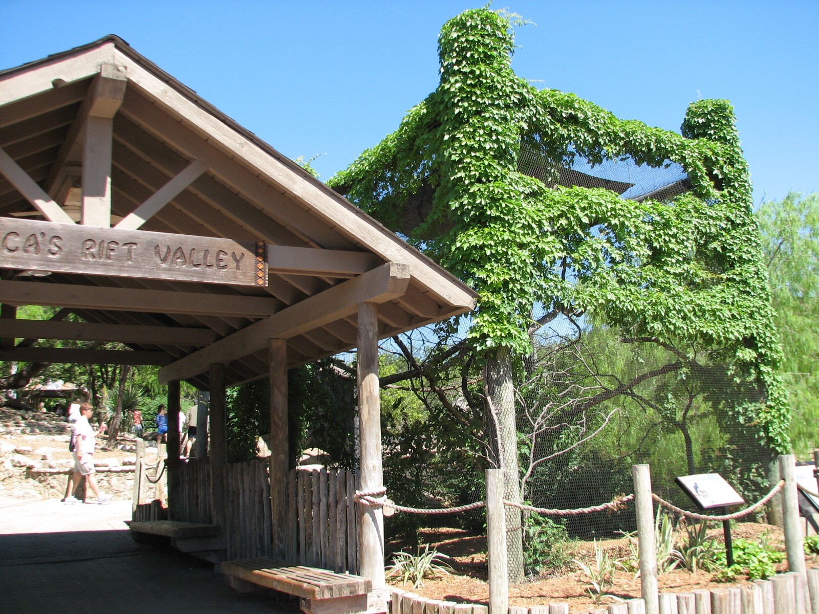 Africas Rift Valley - Entrance and Crowned Hornbill Exhibit
