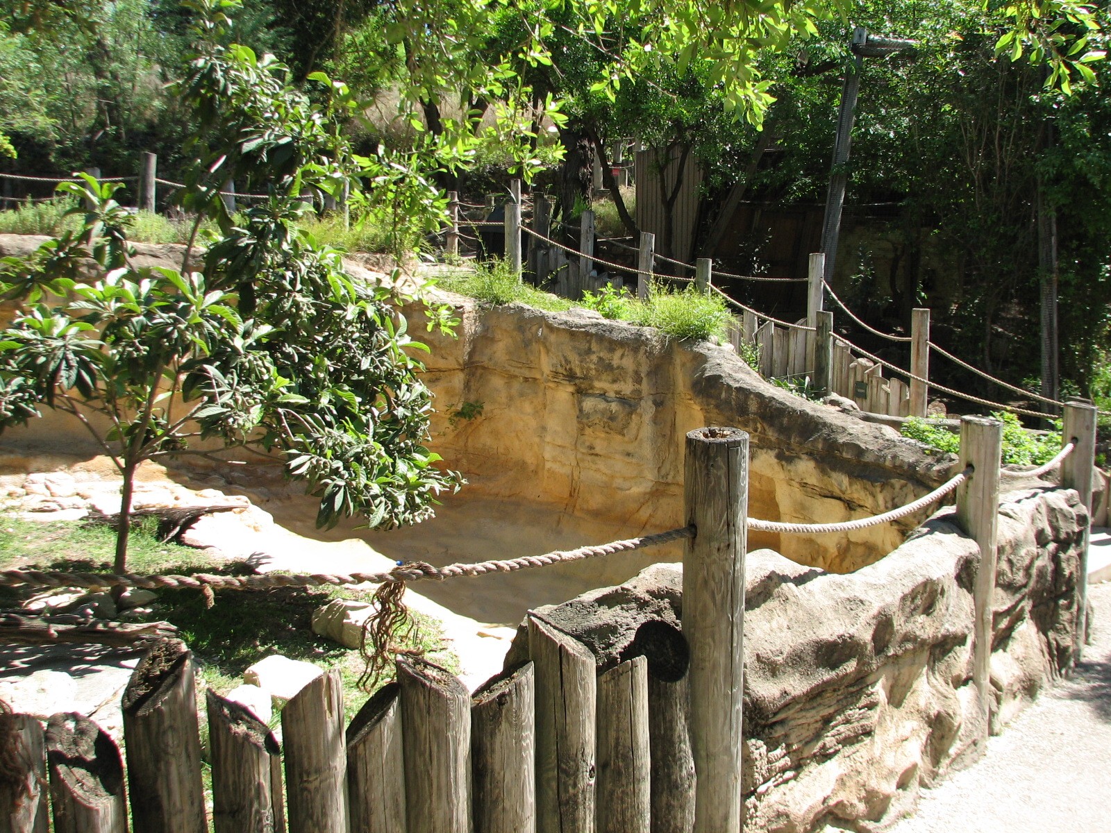 Africas Rift Valley - Kirks Dik-dik Exhibit
