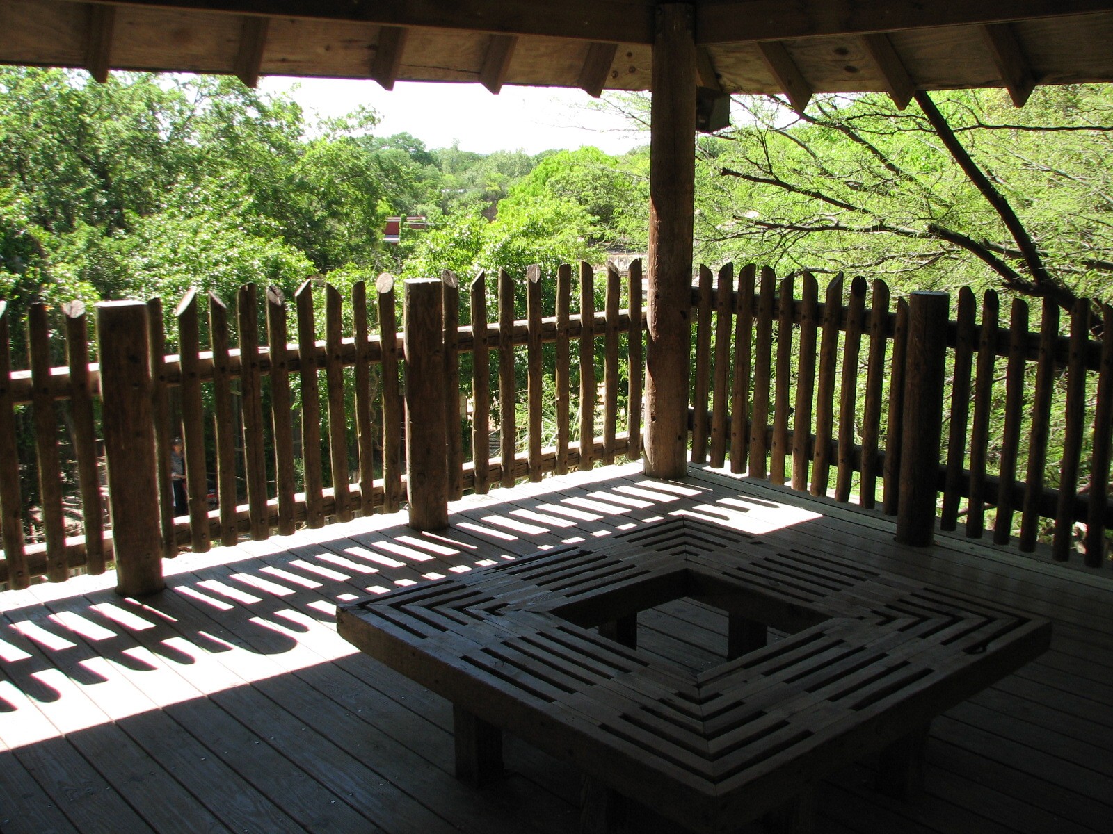Africas Rift Valley - Treetop Lookout
