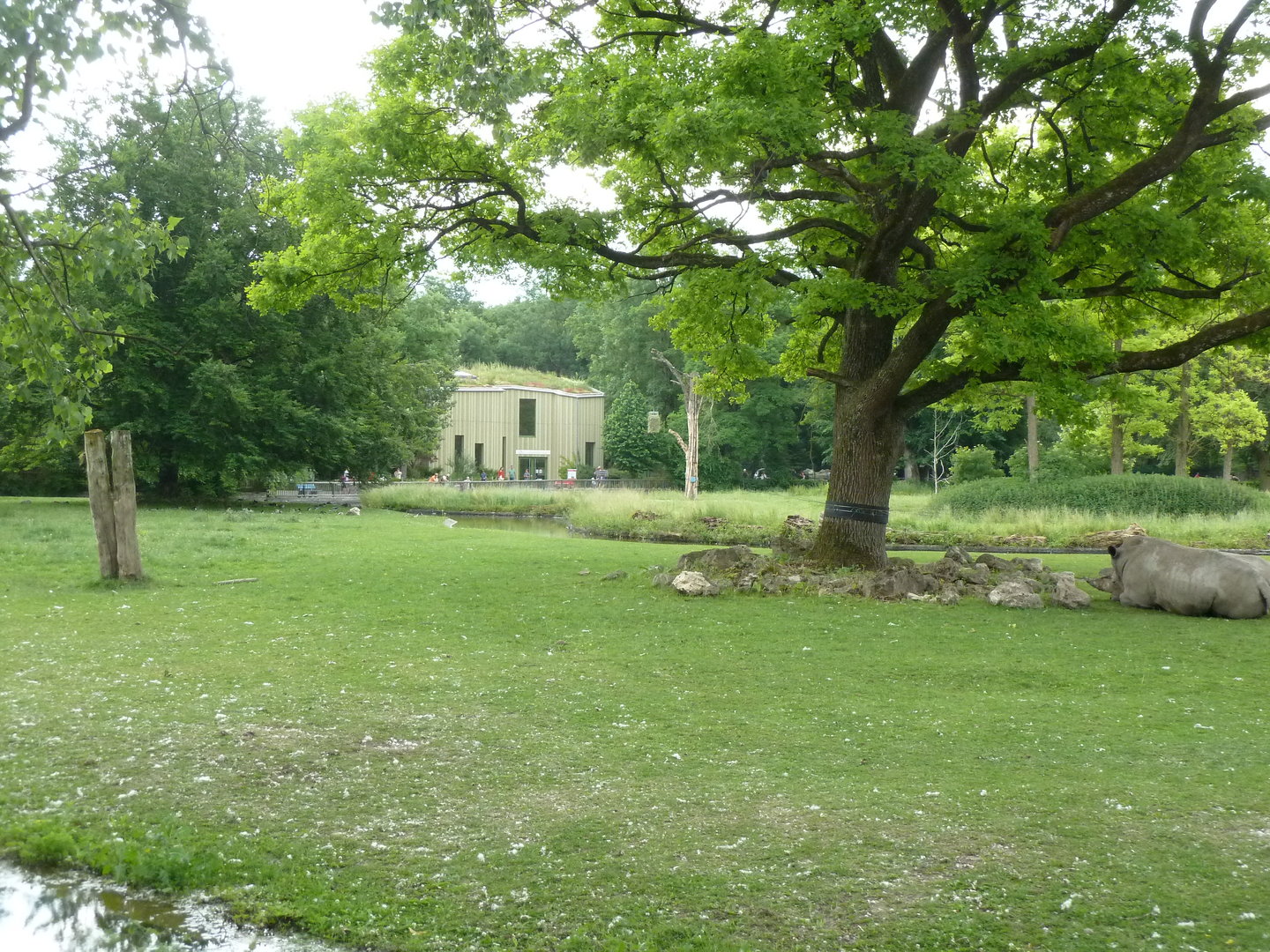 Afrika panorama with elephant house in the background