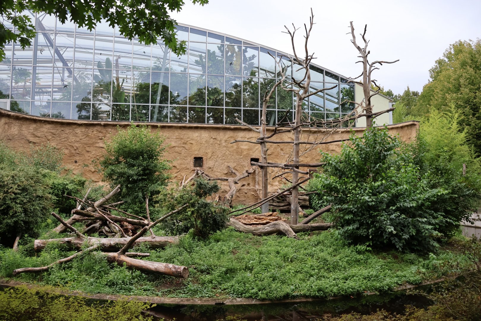 Afrikahaus - Mandril enclosure