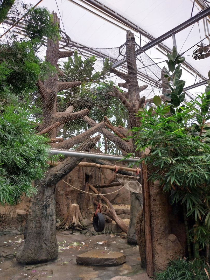 Afrikahaus - Mandril enclosure