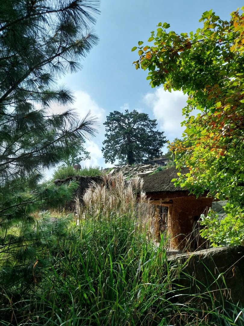 Afrikanisches gebirge