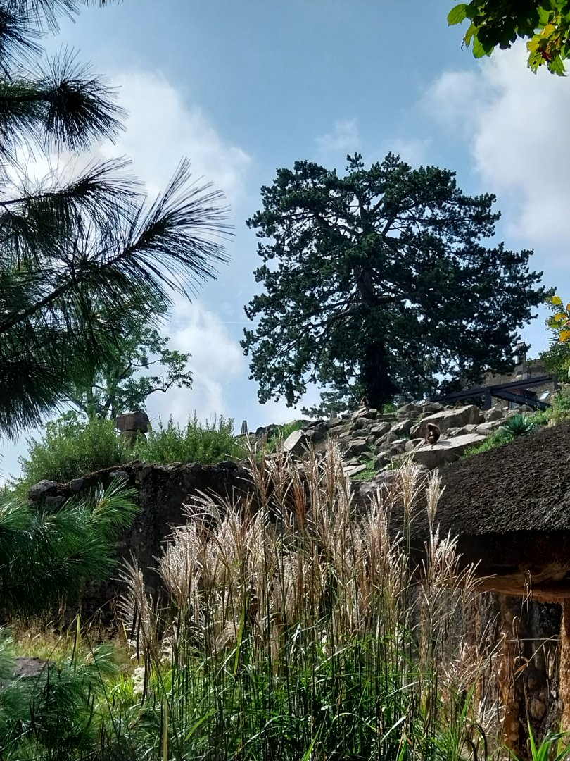 Afrikanisches gebirge