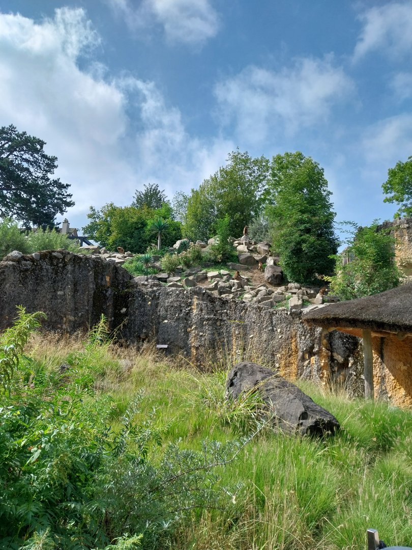 Afrikanisches gebirge