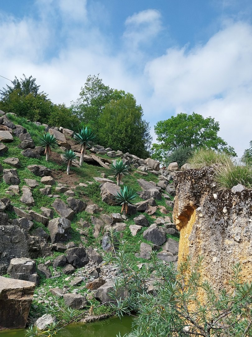 Afrikanisches gebirge