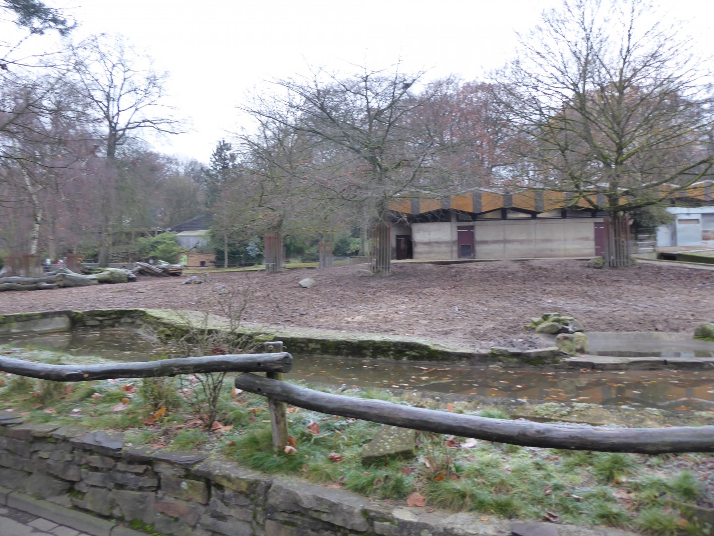 Afrikanum - Red river hog and Watusi cattle enclosure 011219