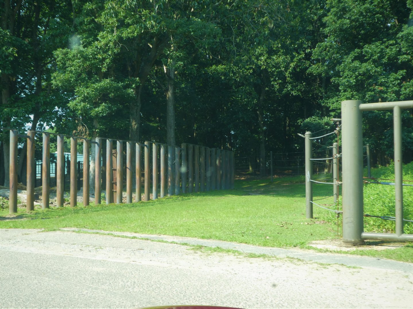 Afrikka - Transfer Pathway to Elephant House