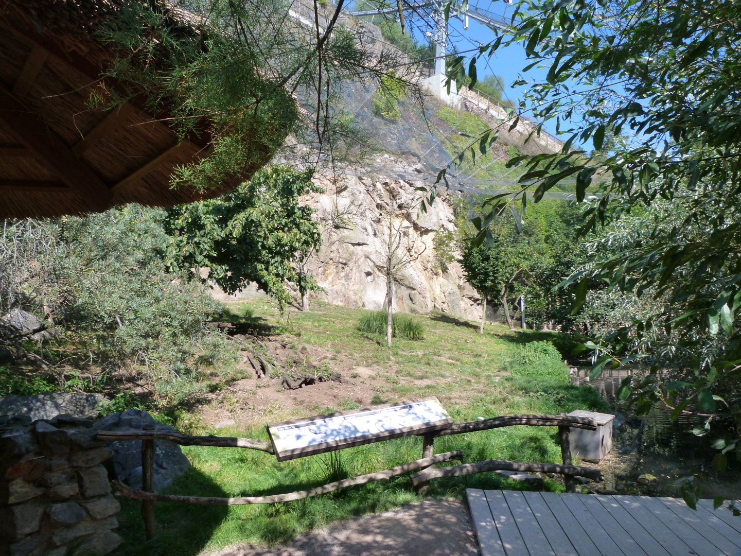 Afro-European cliff walkthrough aviary -Zoo Praha (2025)