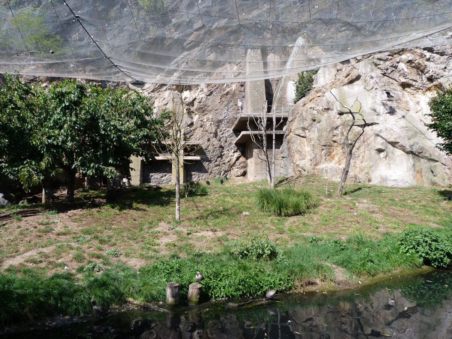 Afro-European cliff walkthrough aviary -Zoo Praha (2025)