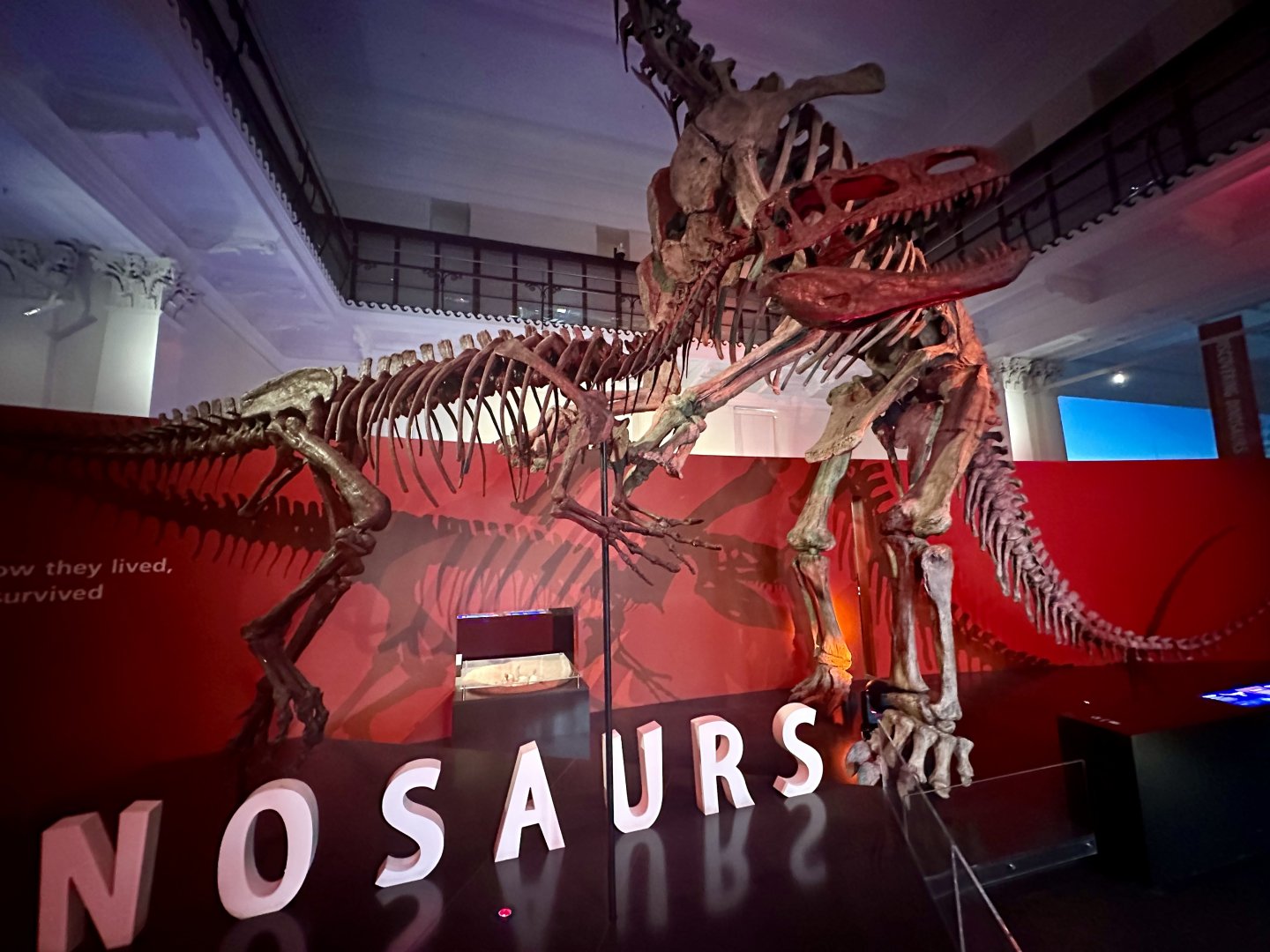 Afrovenator abakensis (cast)