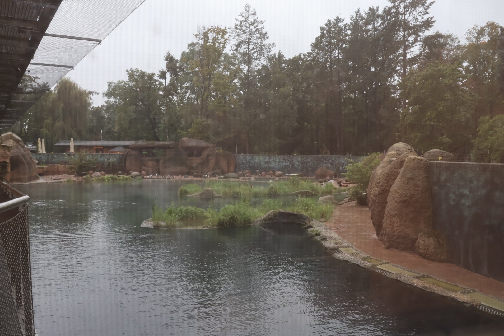 Afrykarium - 2460 m³ pool African penguin exhibit