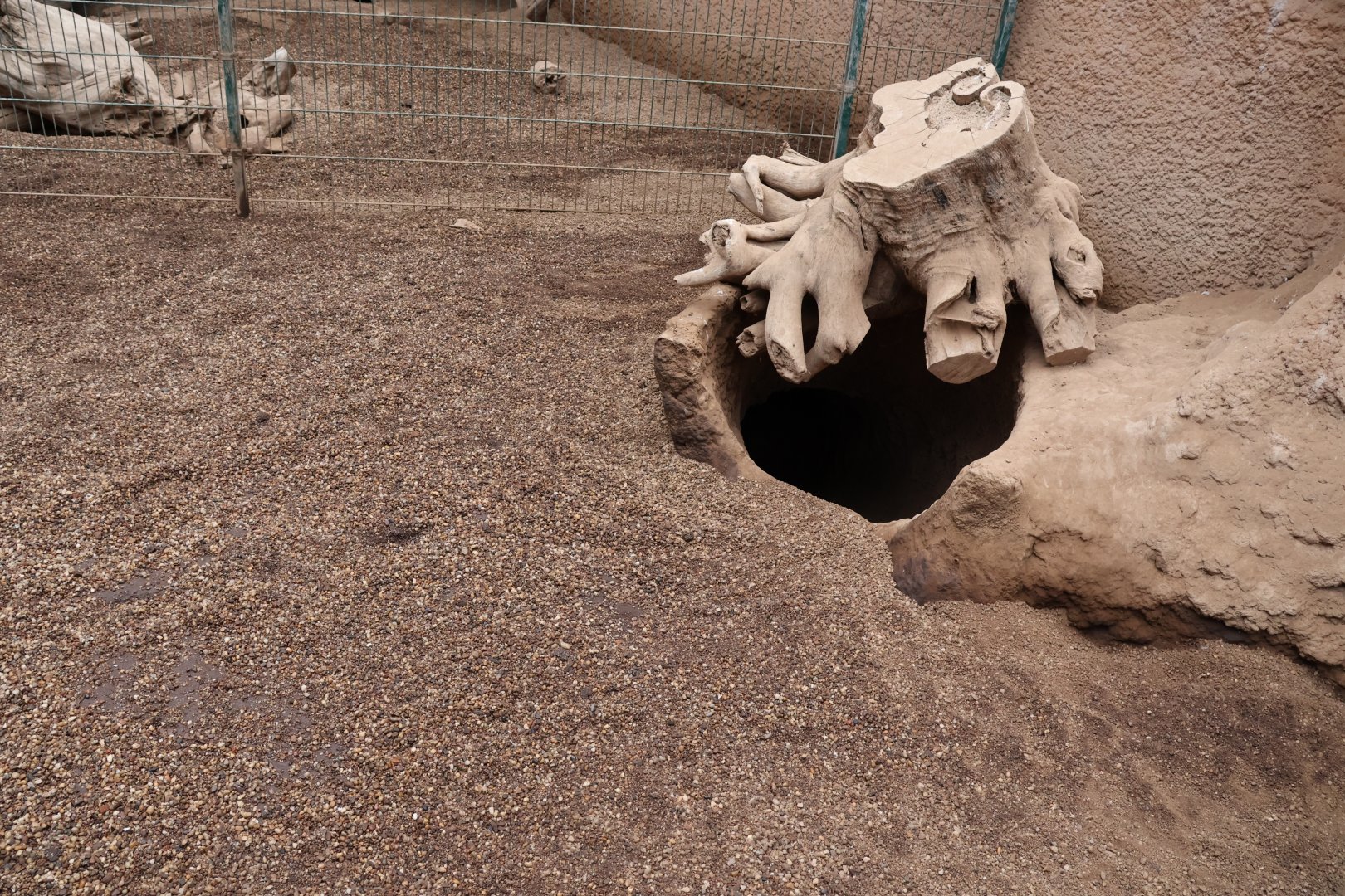 Afrykarium - Aardvark den