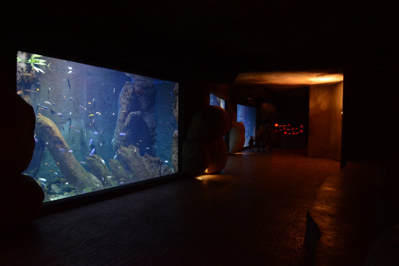 Afrykarium - Cichlid tanks