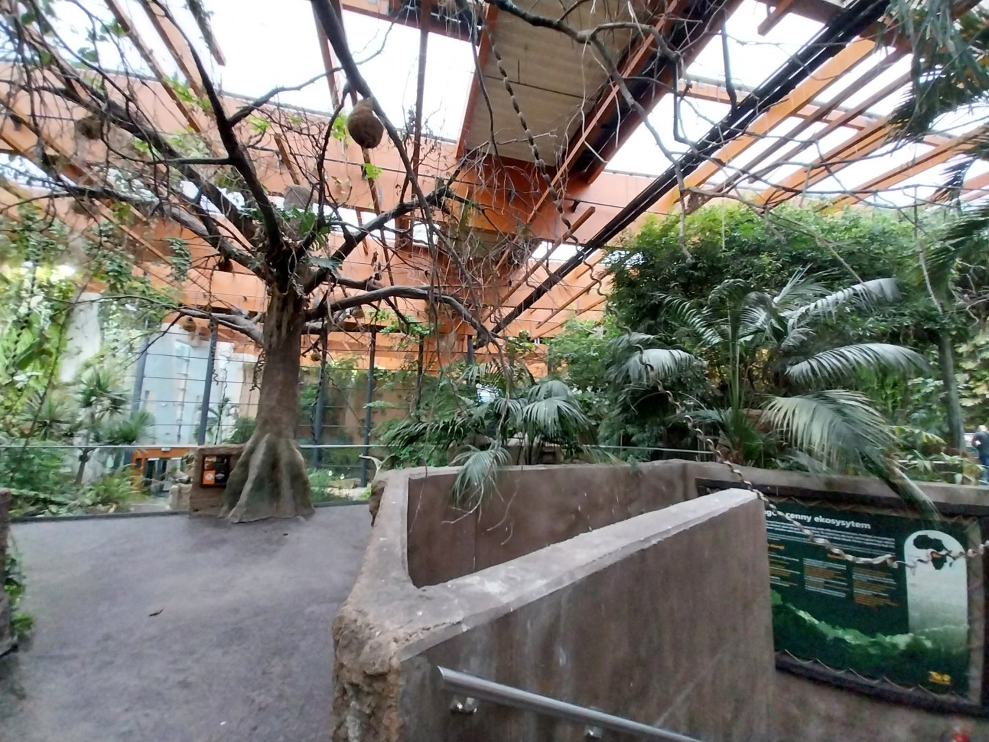 Afrykarium - Congo rainforest exhibit