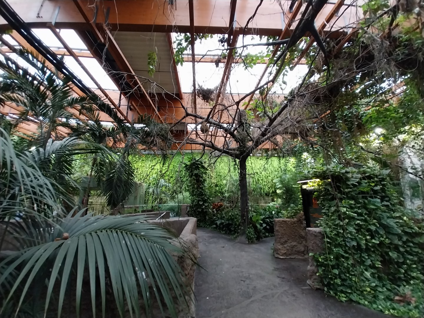 Afrykarium - Congo rainforest exhibit