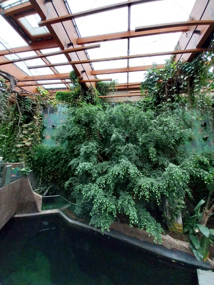 Afrykarium - Congo rainforest exhibit