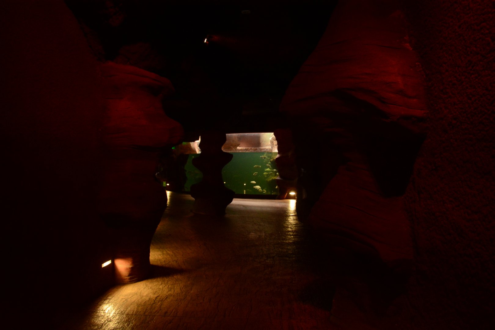 Afrykarium - corridor to hippos