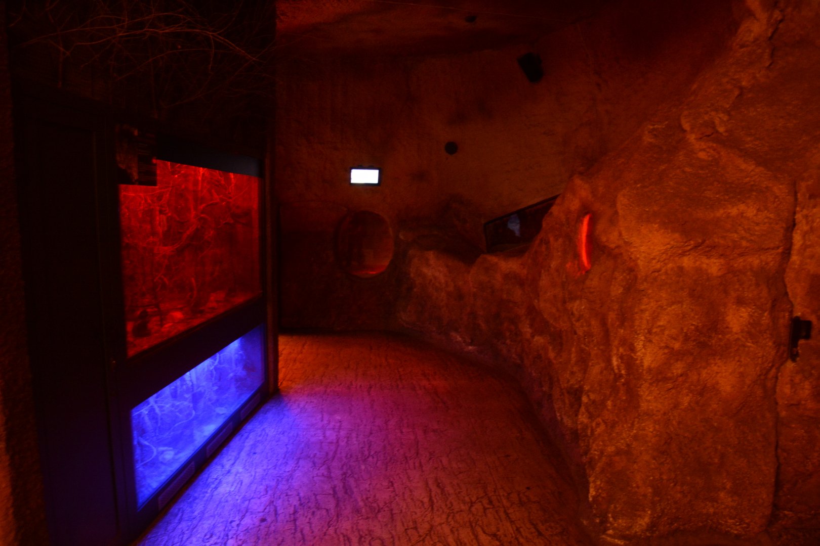 Afrykarium - Dormouse (left) and Aardvark burrow (right