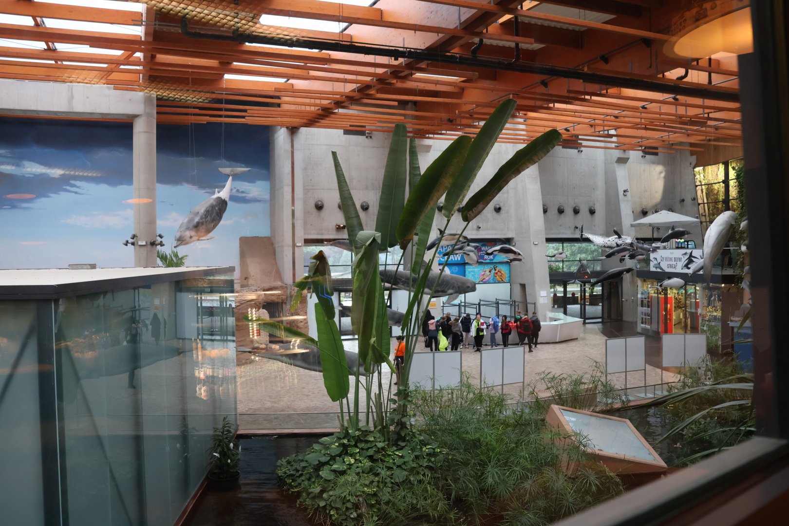 Afrykarium - Entrance hall