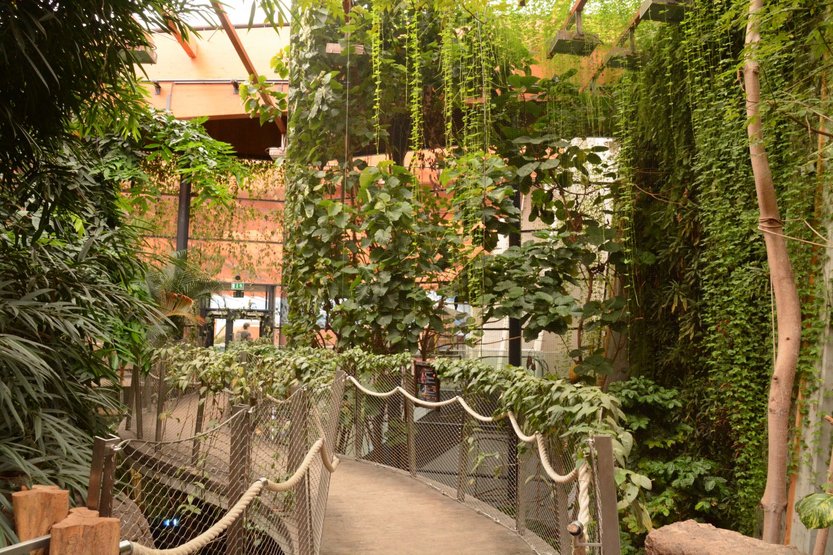 Afrykarium - Hammerheaded Fruit Bat aviary