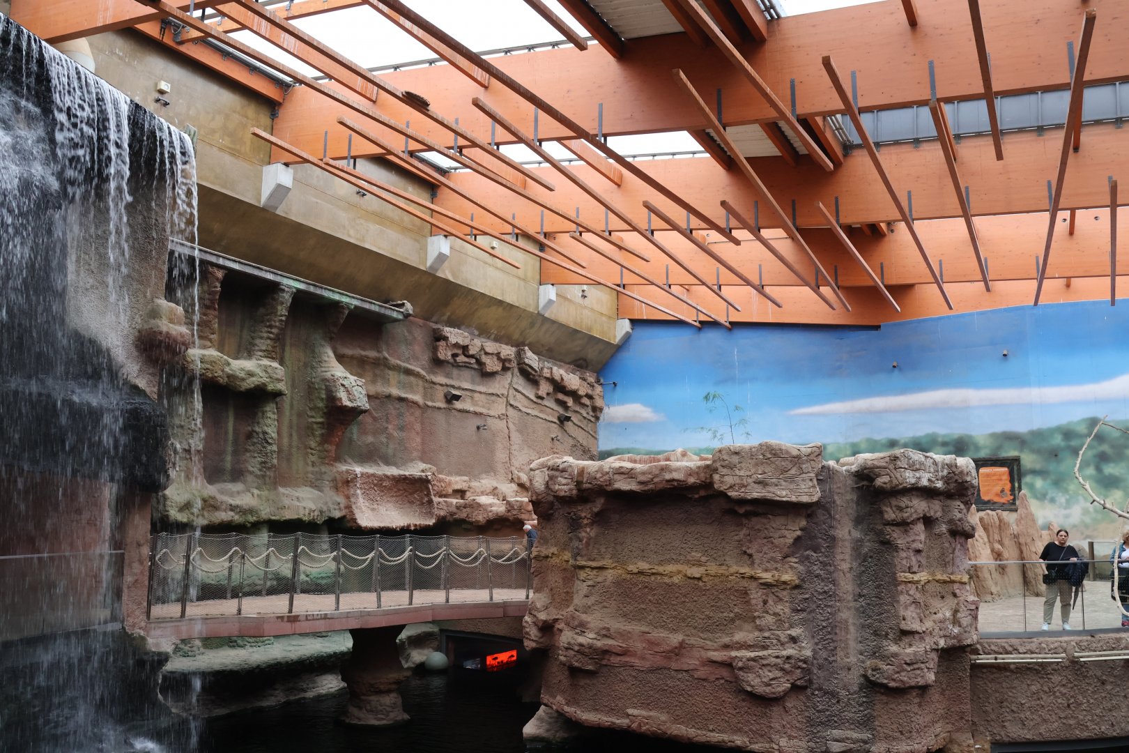 Afrykarium - Hippo exhibit