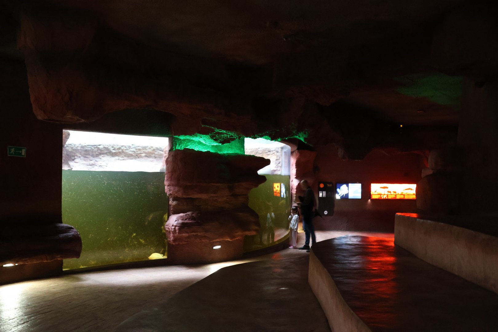 Afrykarium - Hippo underwater viewing