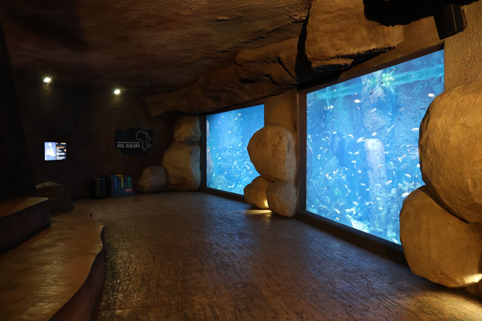 Afrykarium - Lake Malawi (left) and Lake Tangayika  (right) aquariums