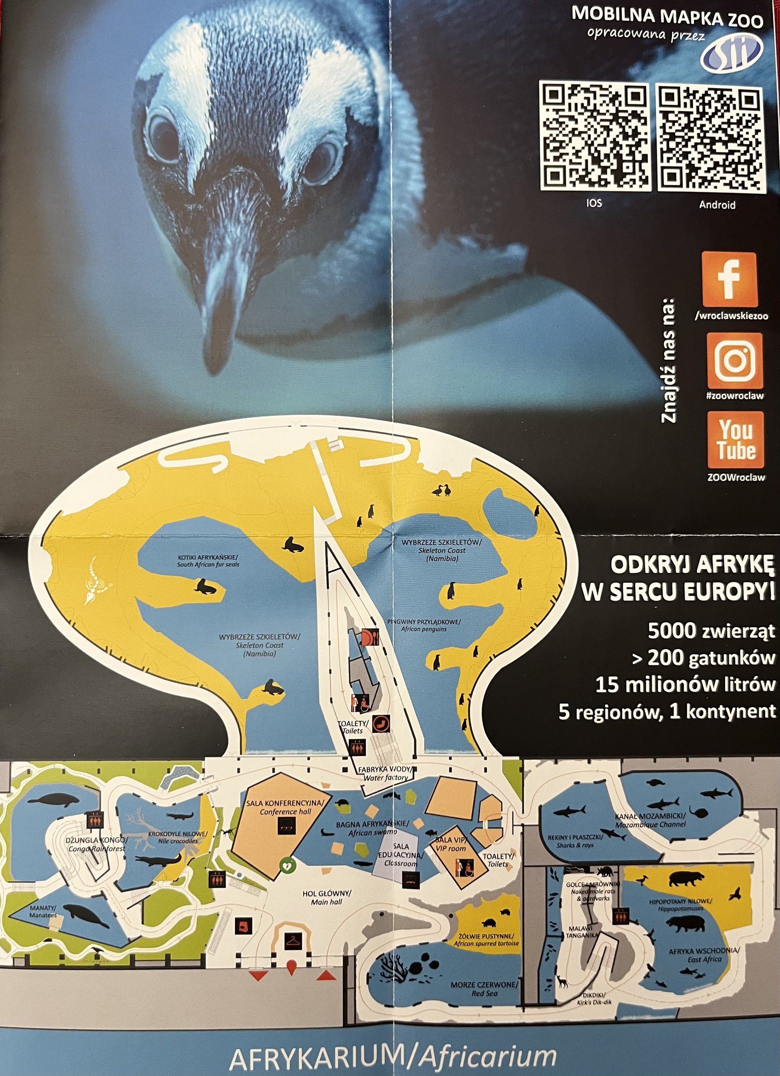 Afrykarium Map - undated