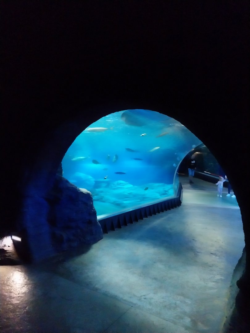 Afrykarium - Mozambique Channel exhibit