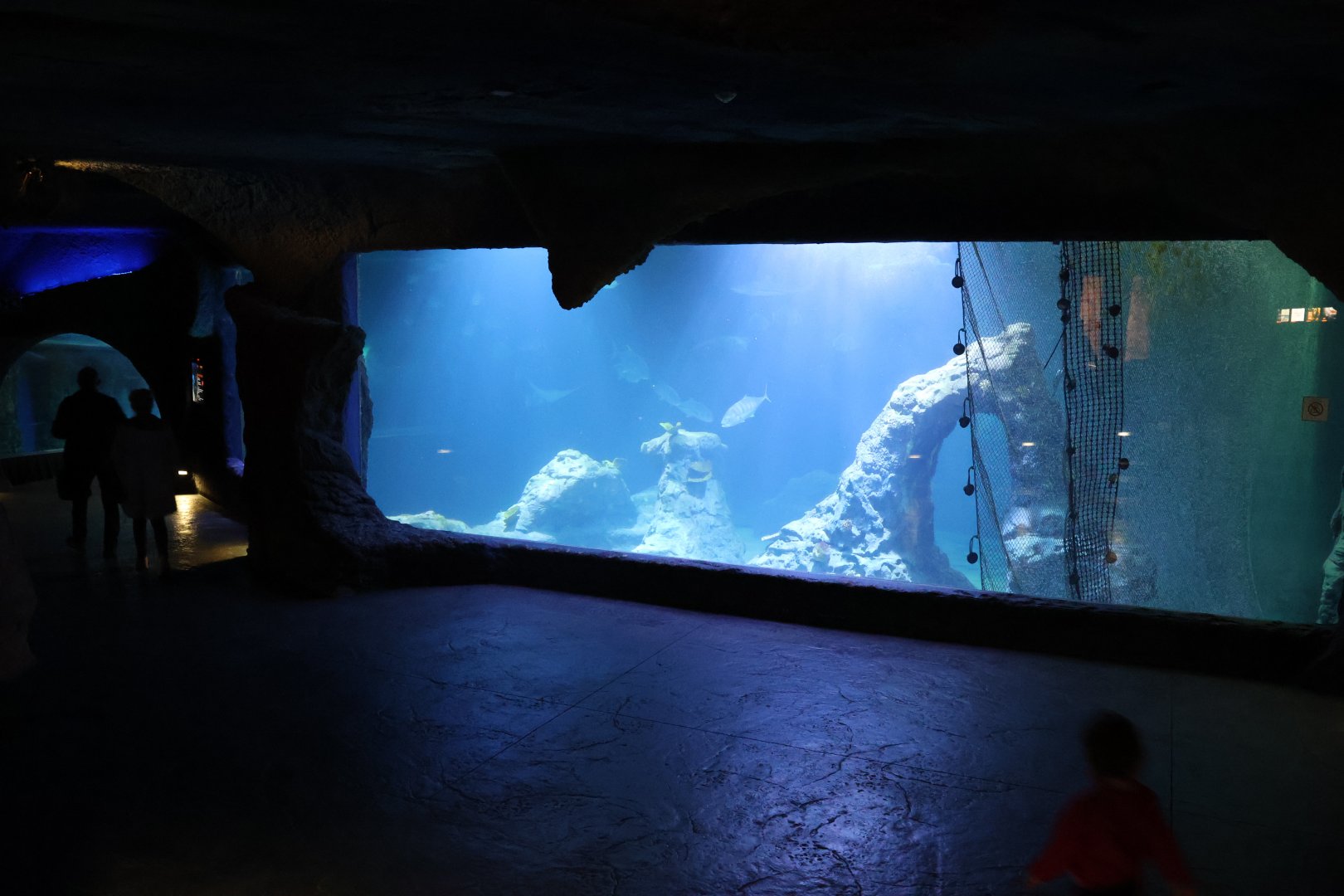 Afrykarium - Mozambique Channel exhibit